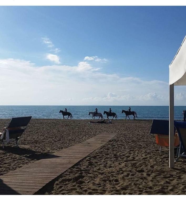 Apartament Torre Rossa Bolgheri Zewnętrze zdjęcie